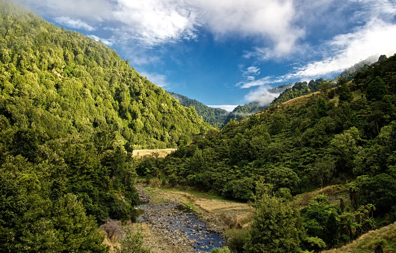 Photo wallpaper forest, the sky, clouds, trees, mountains, stream, stones, New Zealand