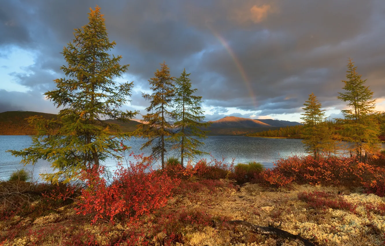 Photo wallpaper autumn, trees, mountains, lake, rainbow, Russia, Magadan oblast, The Lake Of Jack London