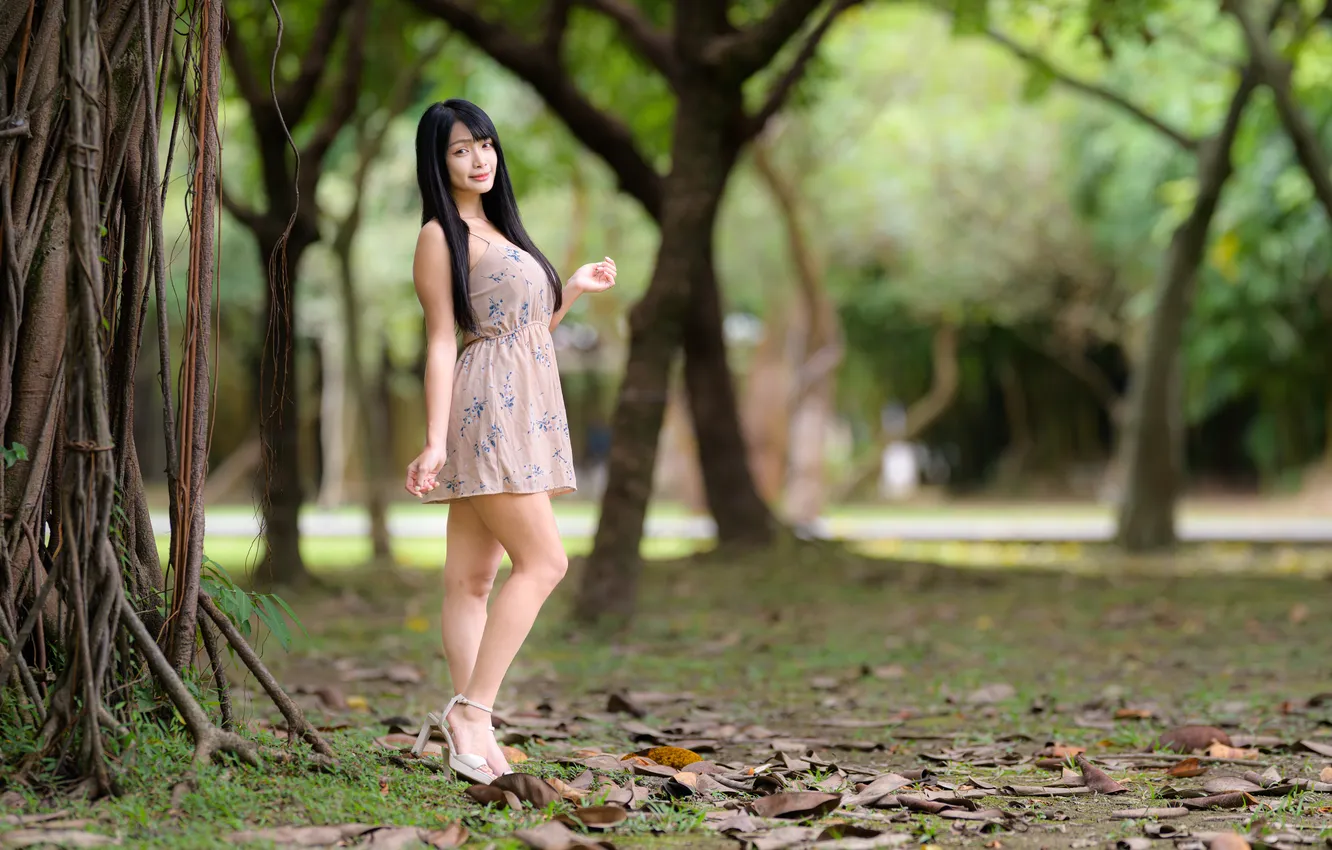 Photo wallpaper pose, dress, brunette, Asian, parks, blurred background