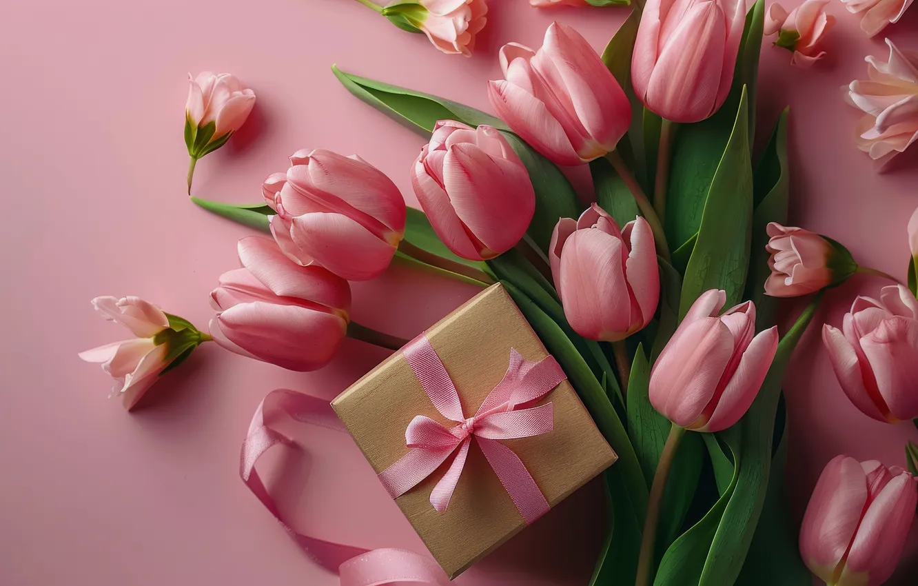 Photo wallpaper birthday, holiday, box, gift, bouquet, spring, tulips, pink