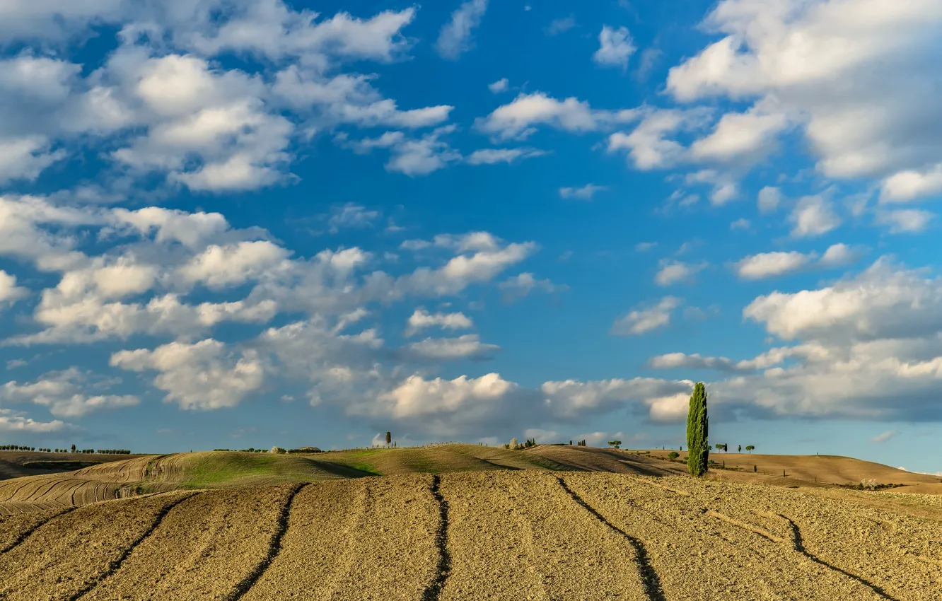 Photo wallpaper field, the sky, clouds, nature, hills, Italy, Tuscany