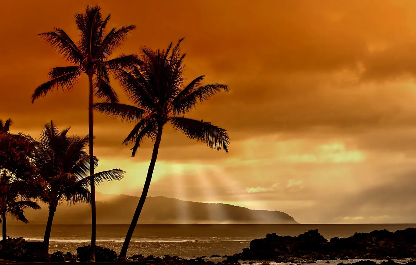 Photo wallpaper sunset, tropics, palm trees, the ocean, shore, the evening