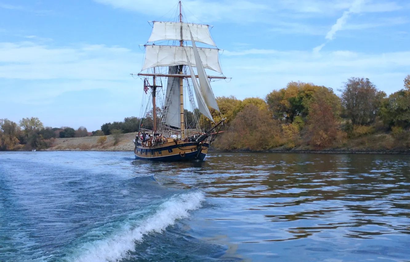 Photo wallpaper water, shore, plant, sailboat