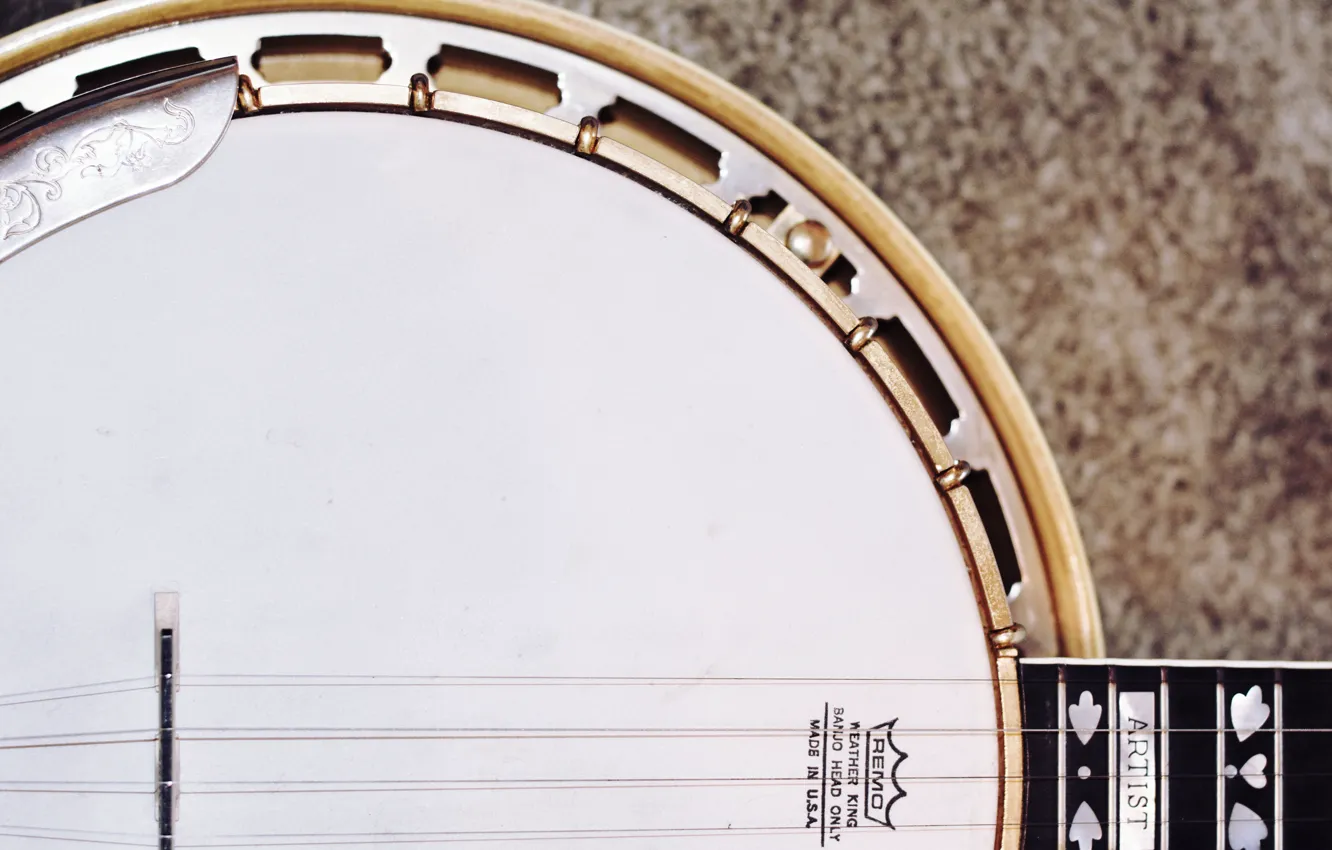 Photo wallpaper music, tool, banjo