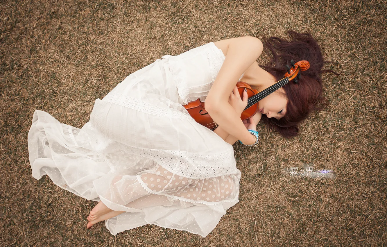 Photo wallpaper girl, pose, music, violin