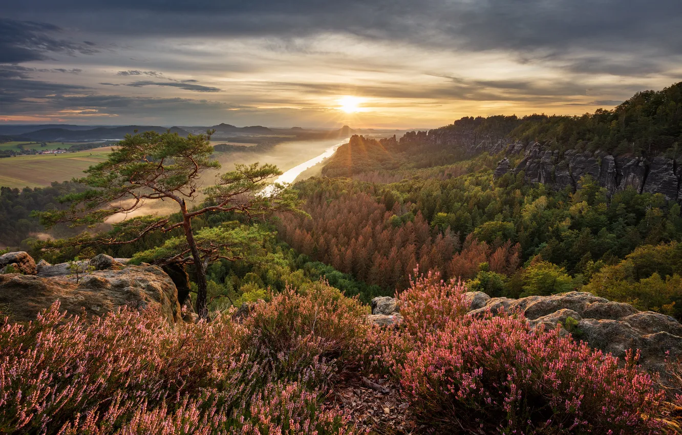 Photo wallpaper autumn, forest, the sun, flowers, mountains, fog, river, rocks