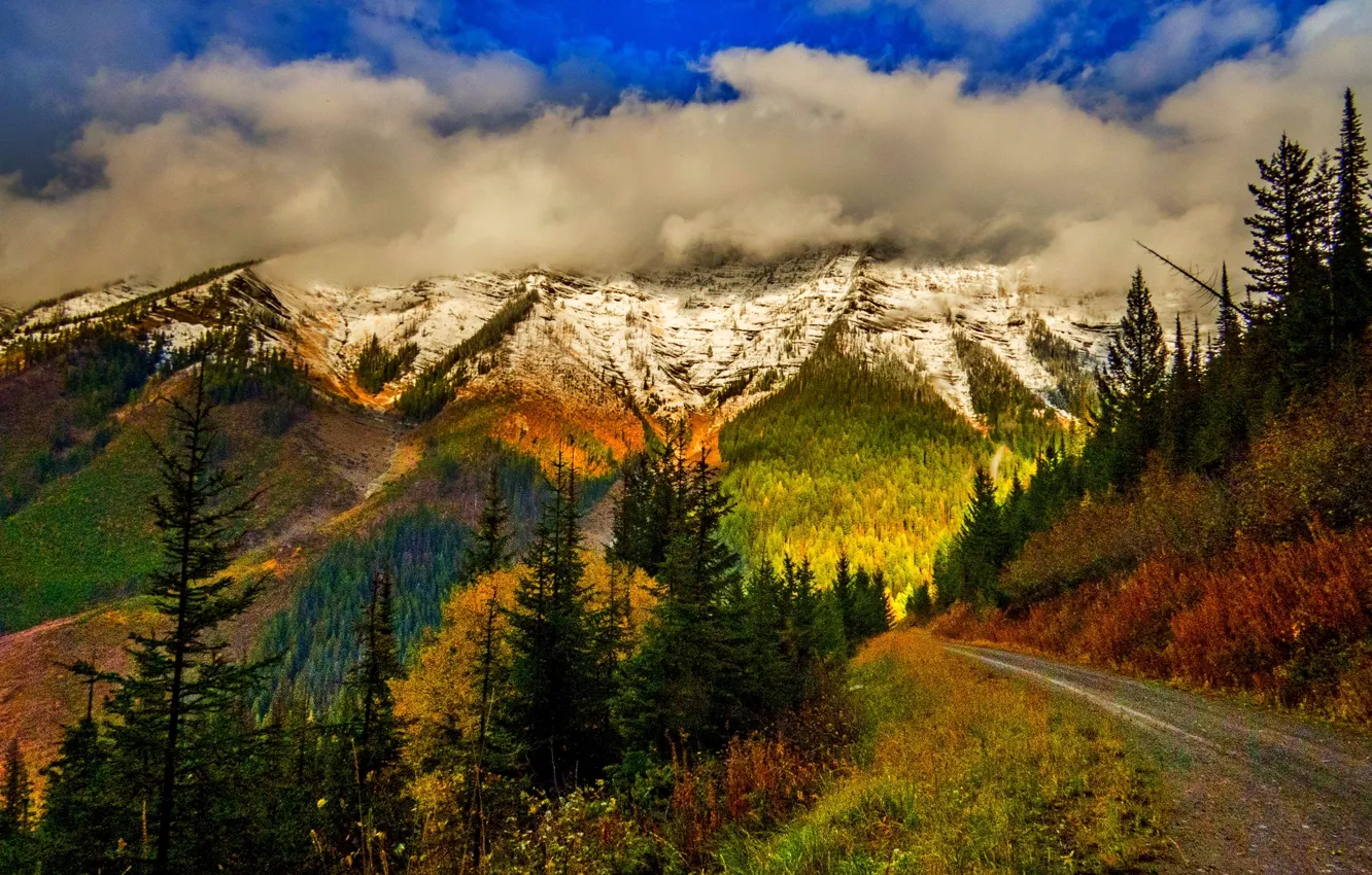 Photo wallpaper road, autumn, forest, the sky, leaves, clouds, snow, trees