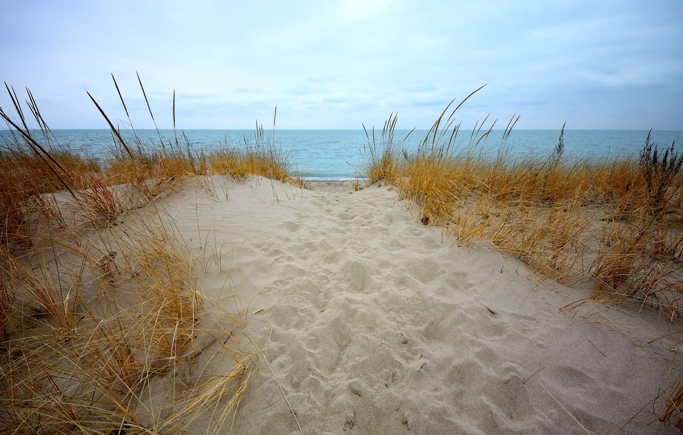 Photo wallpaper sand, sea, the sky, grass, clouds, shore