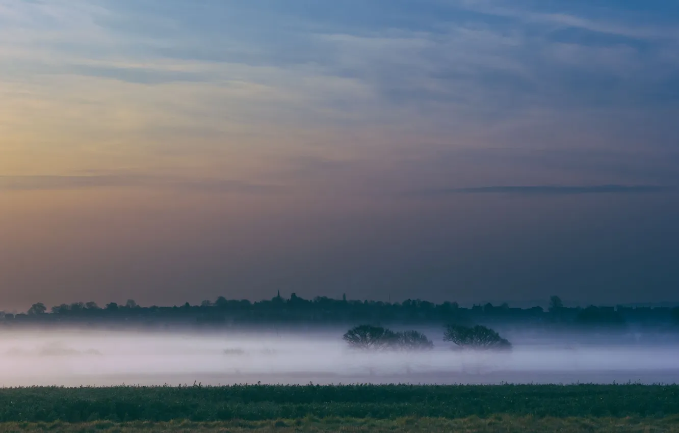 Photo wallpaper field, forest, the sky, clouds, trees, landscape, sunset, nature