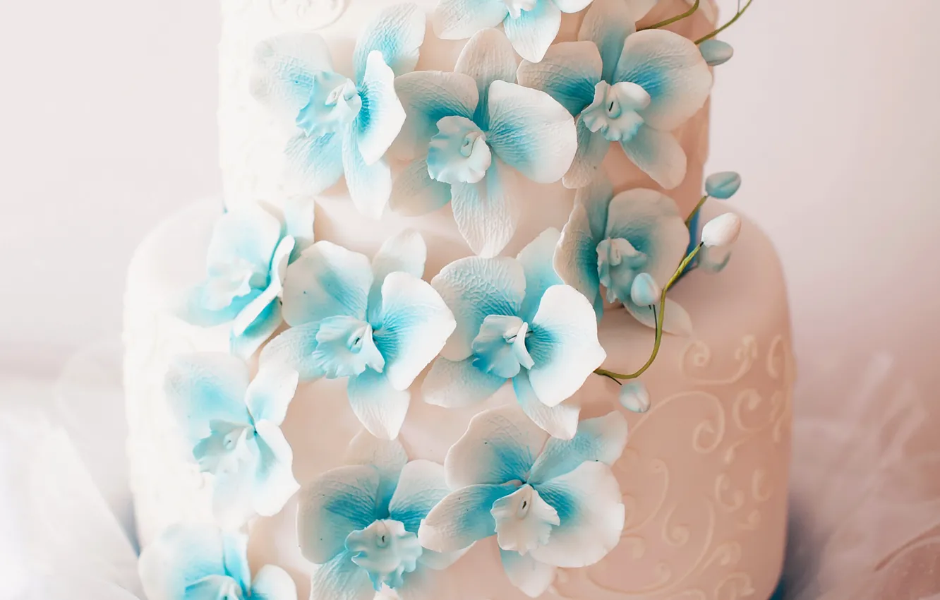 Photo wallpaper flowers, cake, decoration, wedding, sweet, Orchid, wedding, Cakes