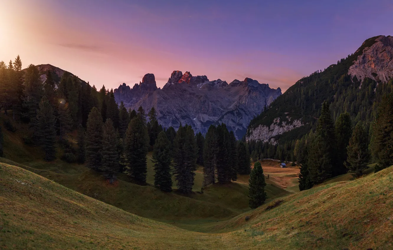 Photo wallpaper field, forest, the sky, light, mountains, rocks, hills, the evening