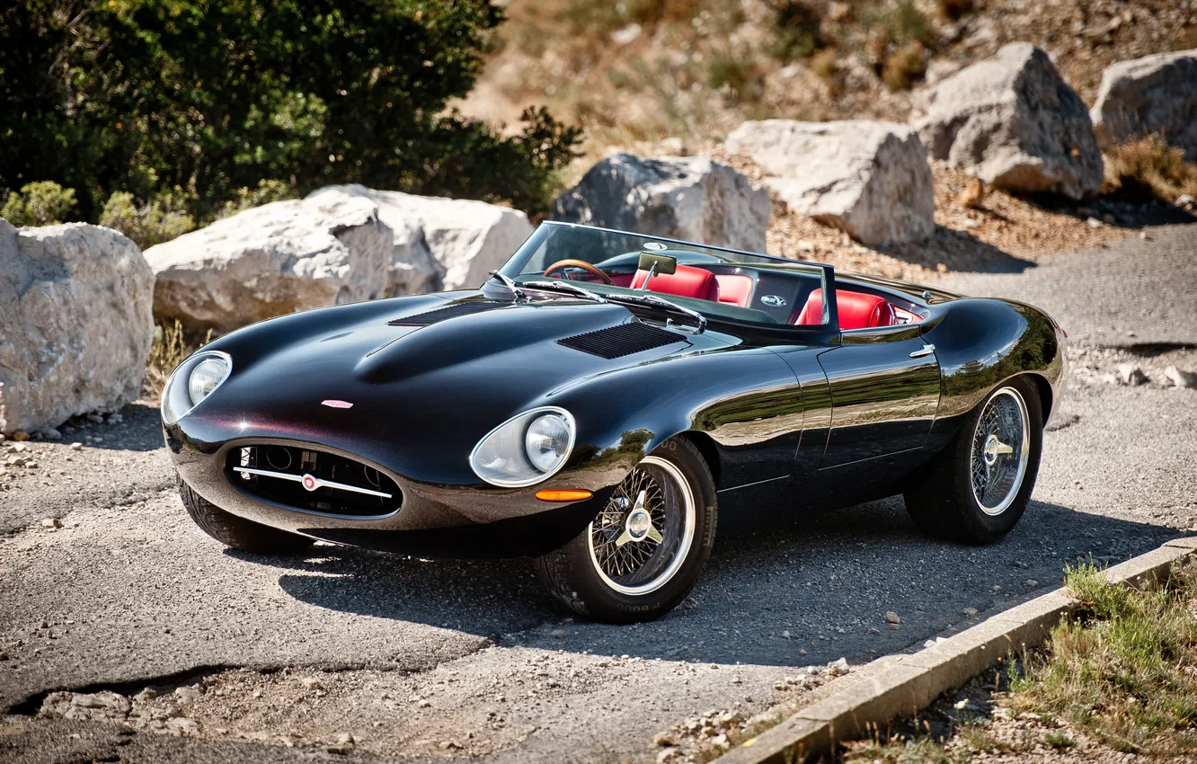 Photo wallpaper needle, Eagle, Speedster, LightWeight, Speedster, Limmat