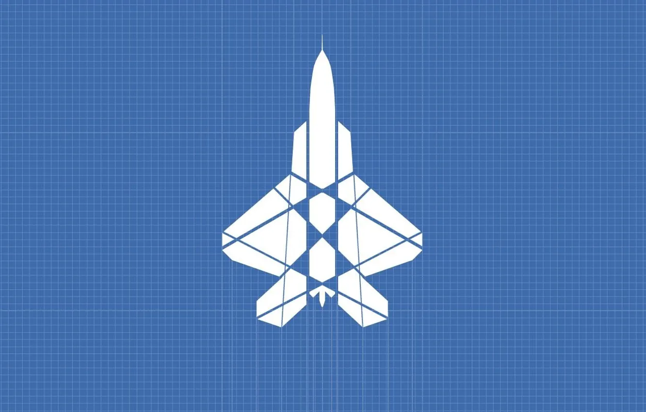 Photo wallpaper line, mesh, a sheet in a cage, inzhenering, work, markup, the plane, F-22