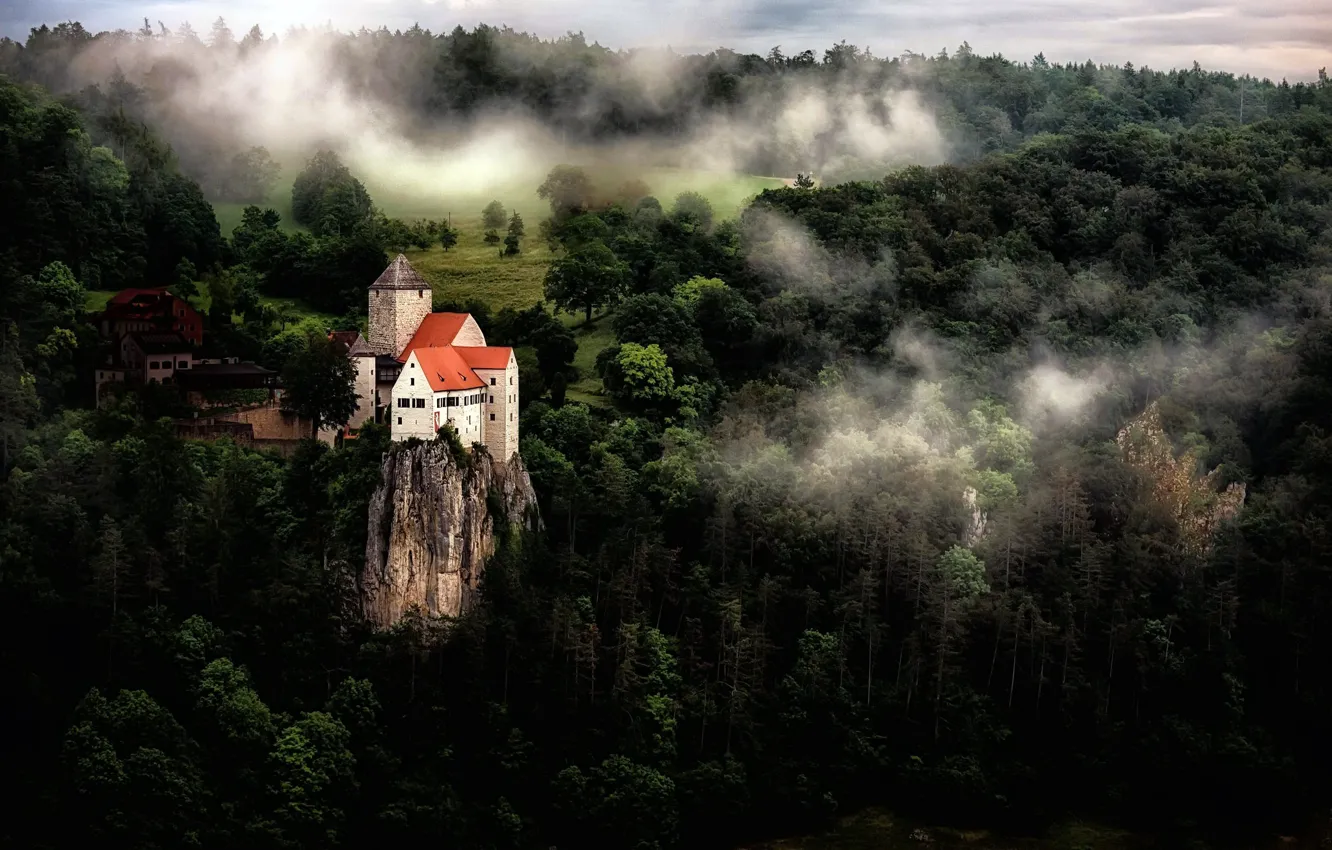 Photo wallpaper forest, fog, castle