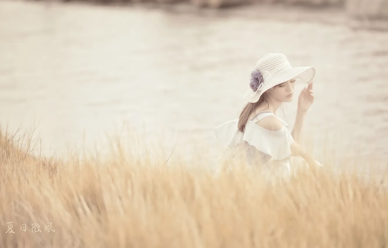 Photo wallpaper field, girl, mood