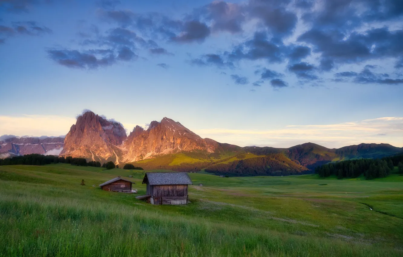 Photo wallpaper field, forest, the sky, grass, clouds, mountains, hills, dal