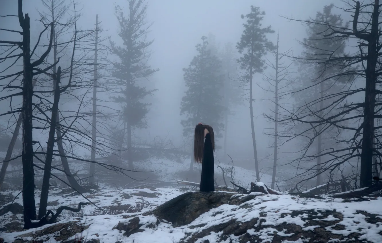 Photo wallpaper forest, girl, snow, fog, Lichon