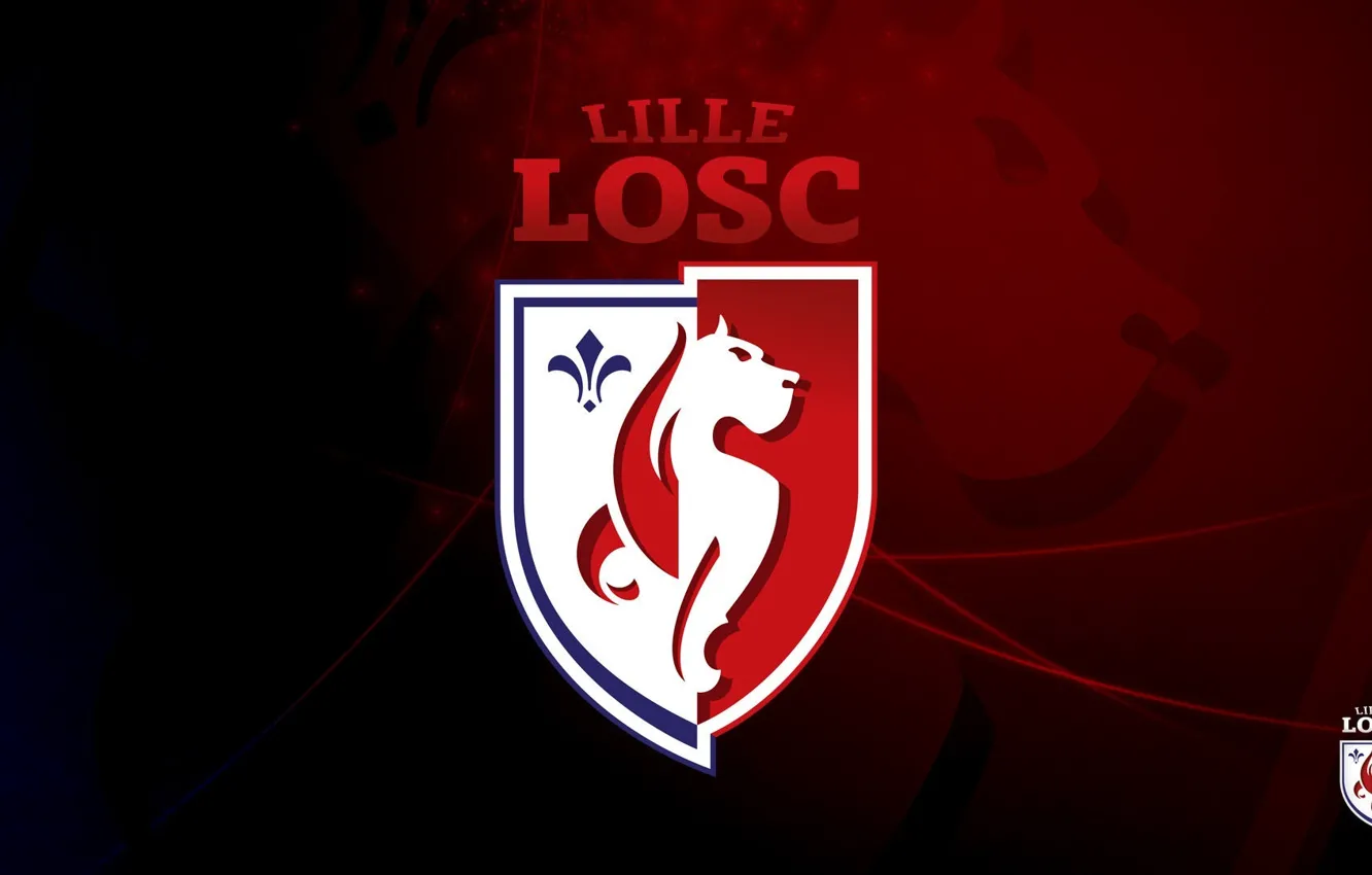 Photo wallpaper sport, logo, France, football, Lille LOSC