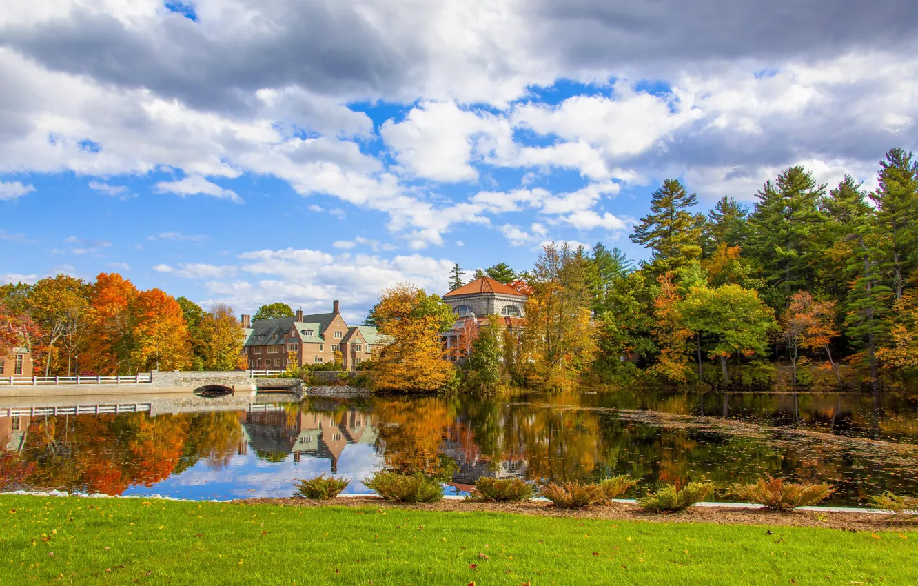 Photo wallpaper autumn, forest, grass, clouds, trees, lake, pond, Park