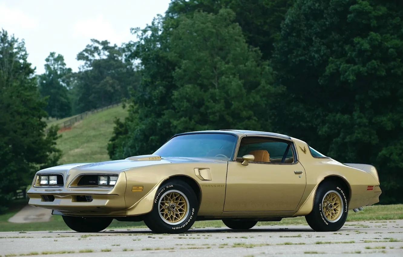 The Trans Am Wallpaper vintage, muscle, muscle car, classic, pontiac, trans am, ta66 ...