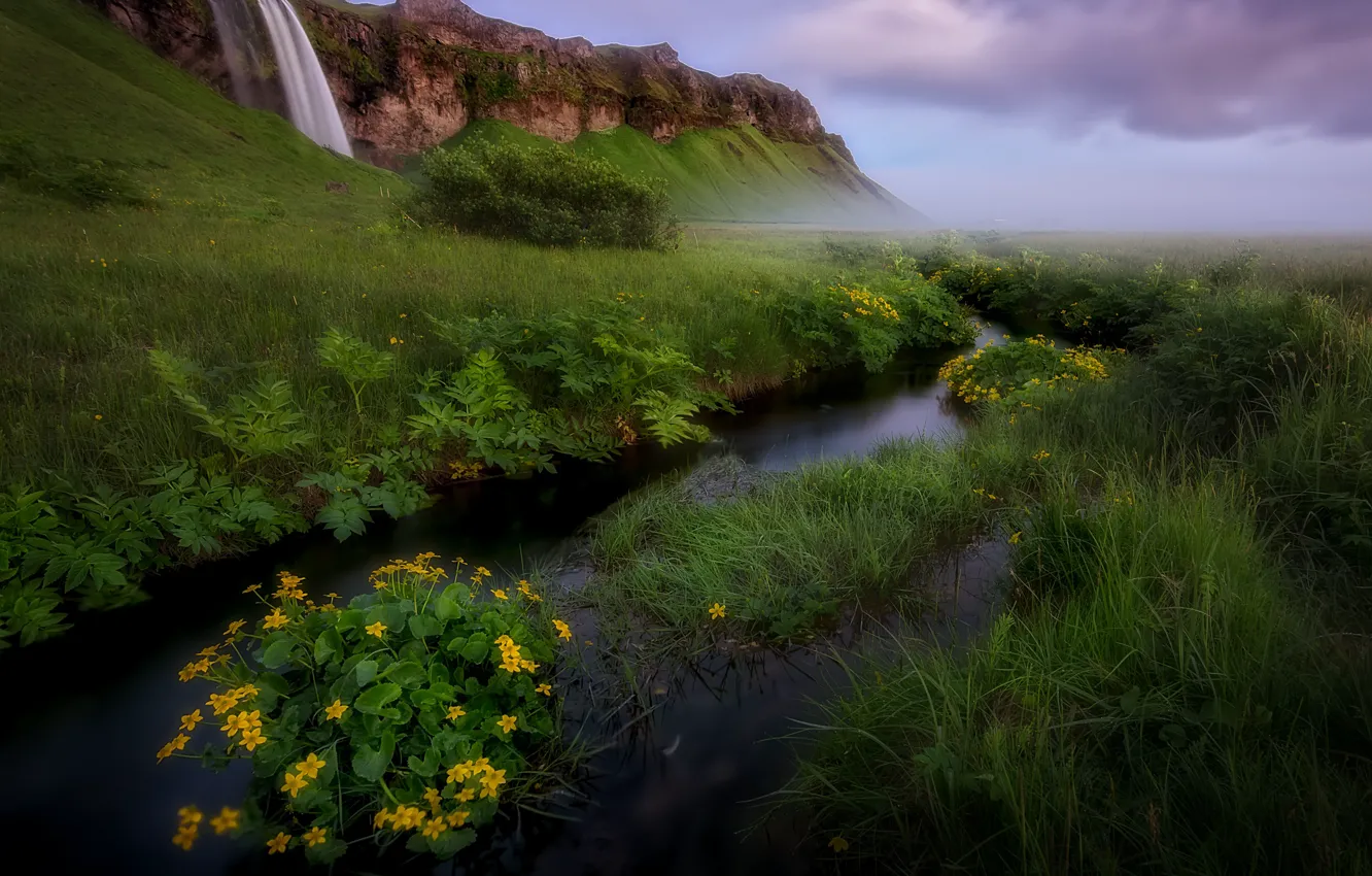 Photo wallpaper greens, summer, grass, flowers, mountains, nature, river, stream