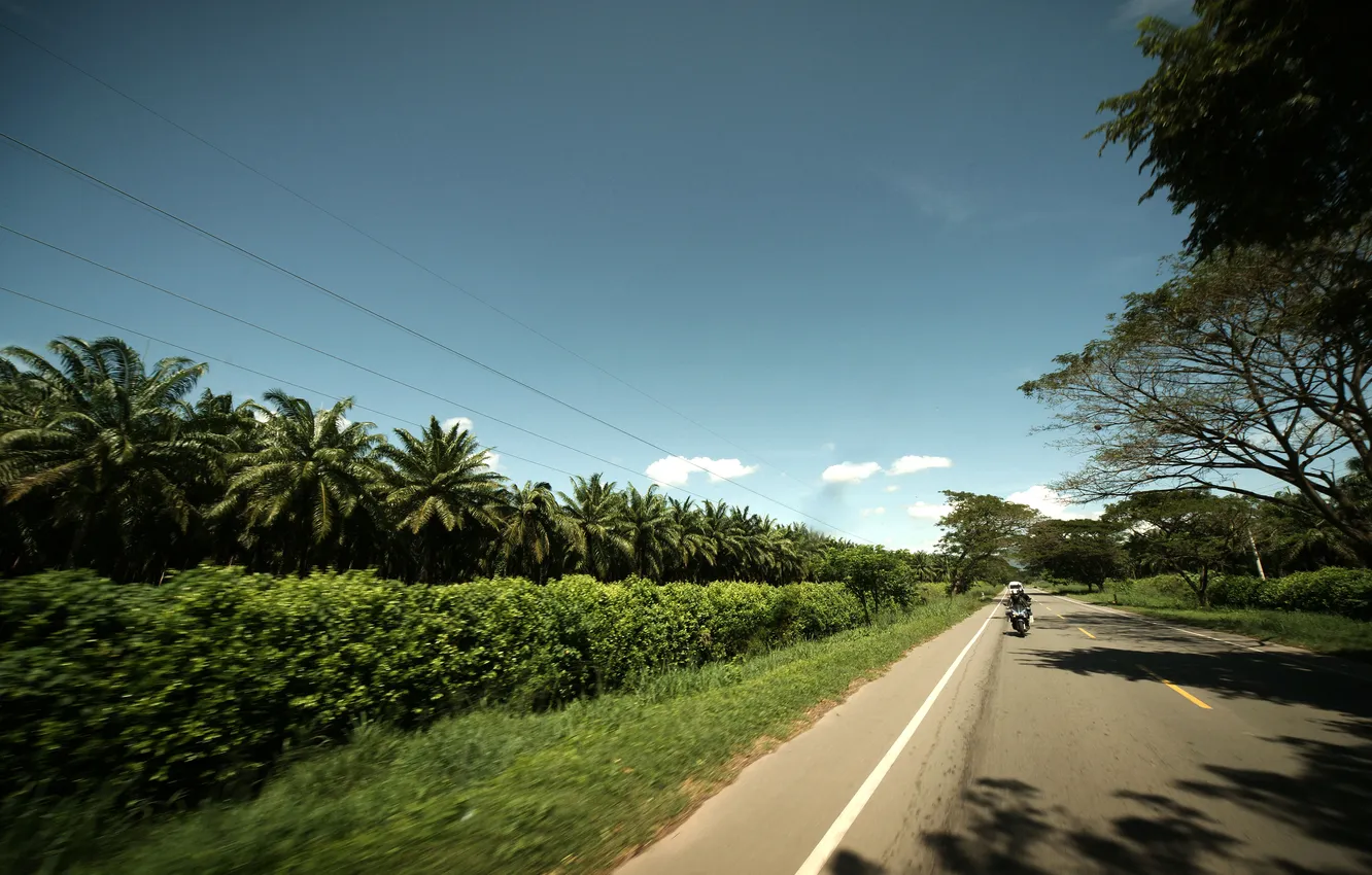 Photo wallpaper road, the sky, trees, palm trees, highway, motorcycle