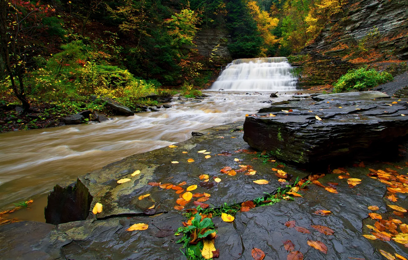 Photo wallpaper autumn, forest, leaves, trees, river, stones, rocks, waterfall