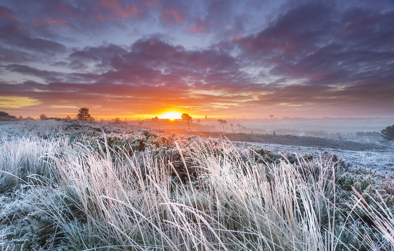 Photo wallpaper field, landscape, sunset