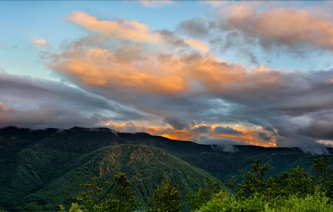 Photo wallpaper forest, clouds, sunset, mountains, USA, Washington, Mount St. Helens