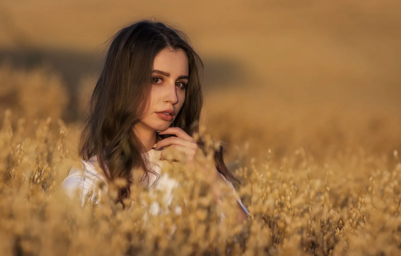 Photo wallpaper look, girl, face, portrait, Clear