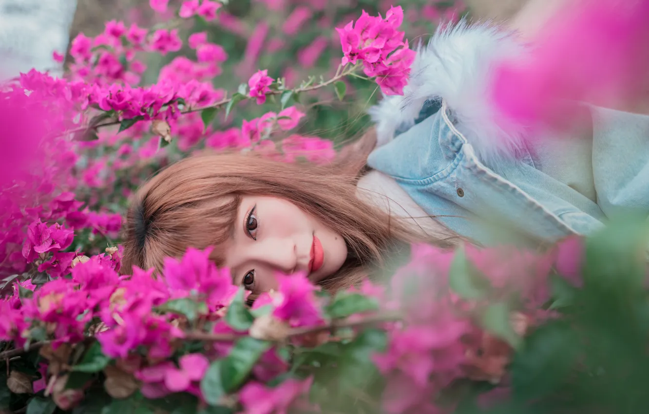 Photo wallpaper girl, flowers, face, lies