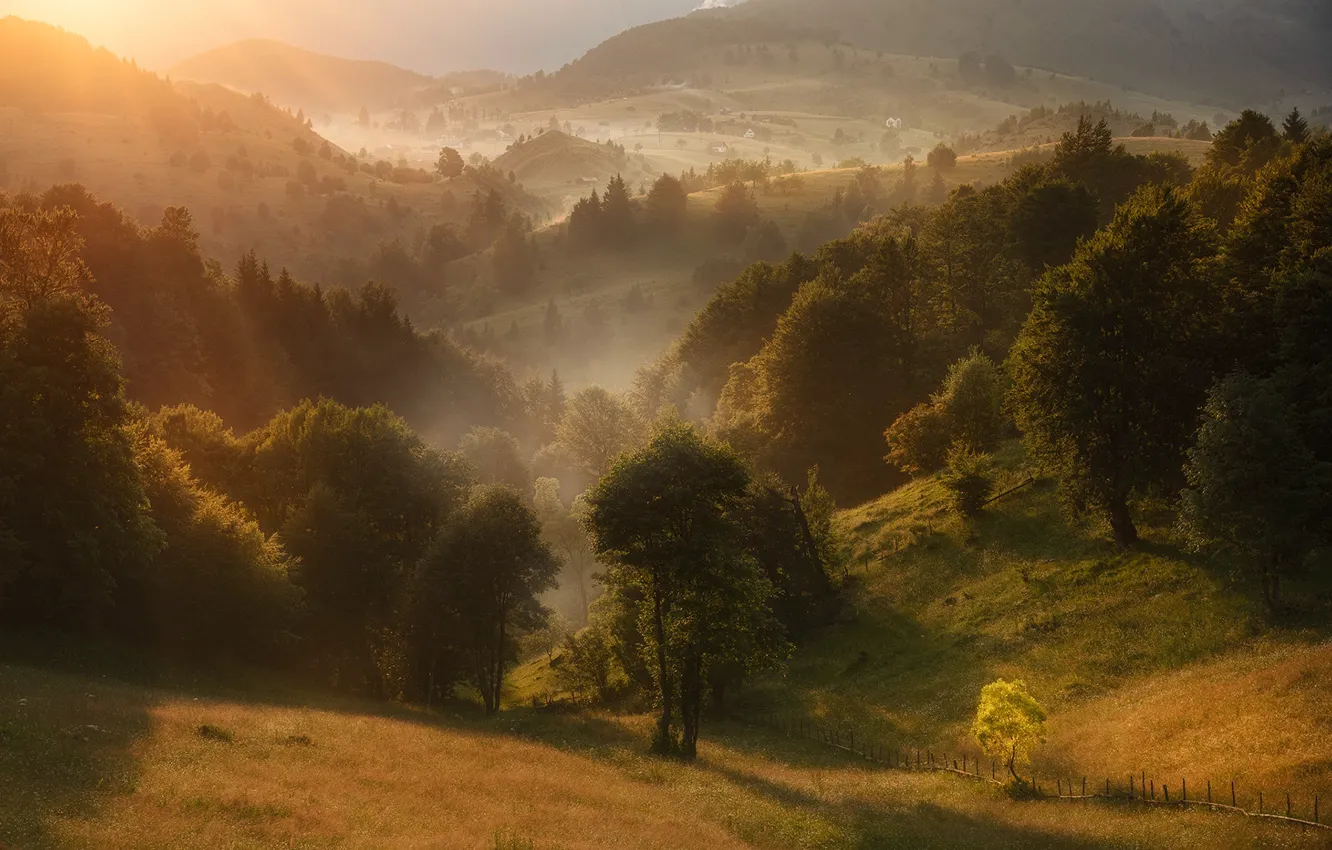 Photo wallpaper trees, landscape, nature, fog, hills, Romania, Materov.