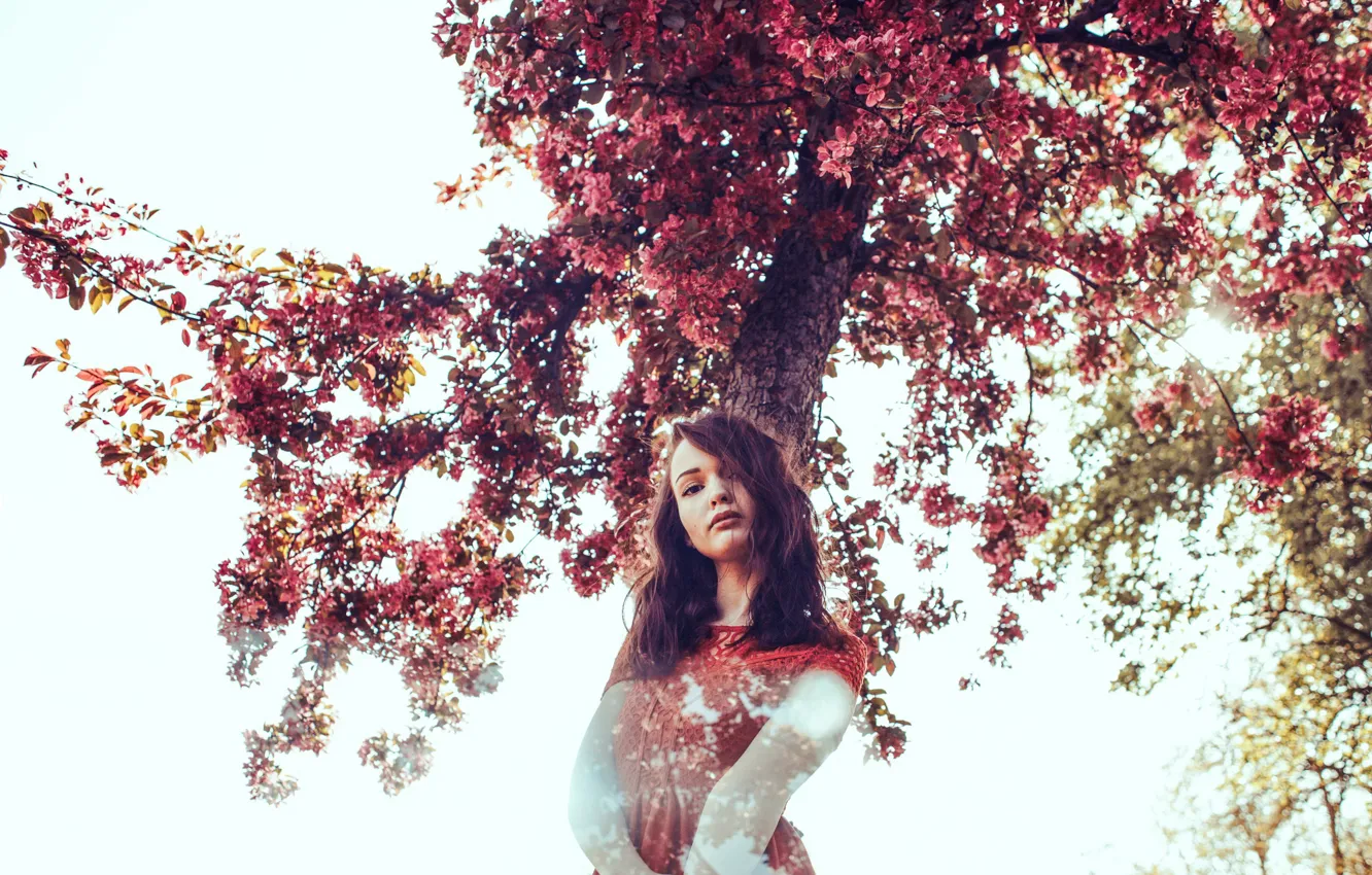 Photo wallpaper girl, trees, nature, Ronja