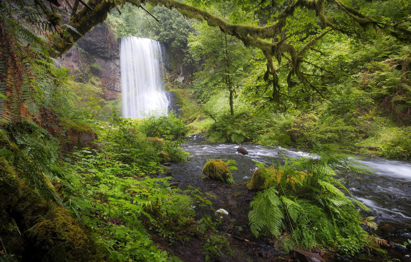 Photo wallpaper forest, river, vegetation, waterfall, Oregon, Oregon, Columbia River Gorge, the Columbia river gorge