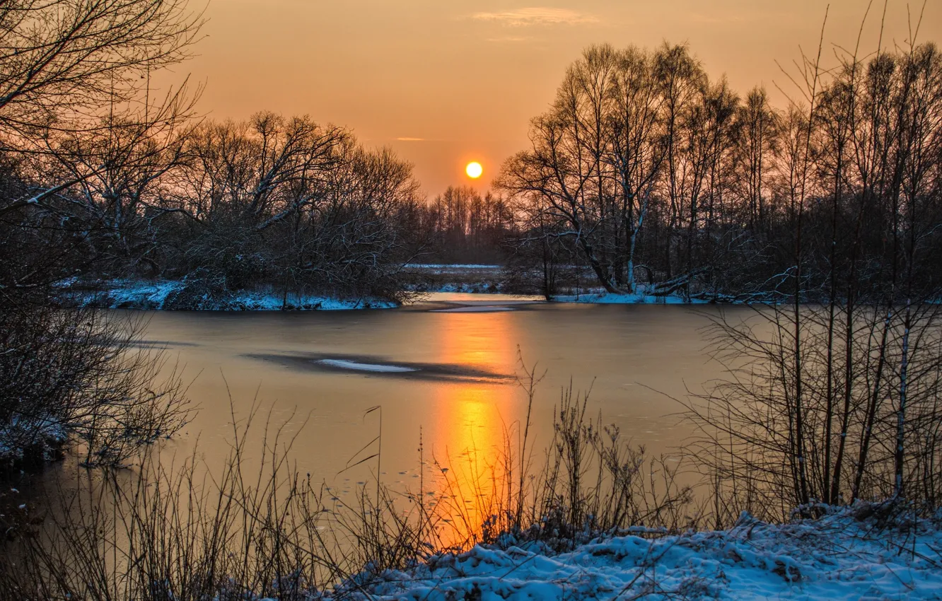 Photo wallpaper winter, the sky, water, the sun, snow, trees
