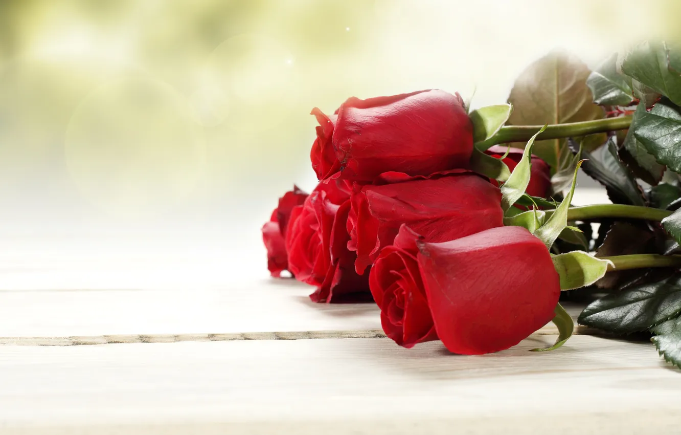 Photo wallpaper leaves, flowers, roses, bouquet, buds