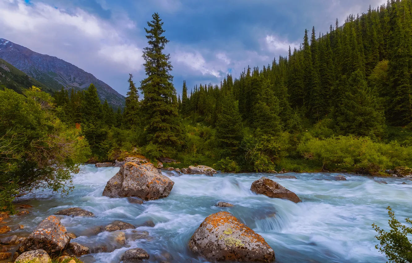 Photo wallpaper forest, mountains, river, stones, stream, Kazakhstan, The Turgen River, Elina Magalimova