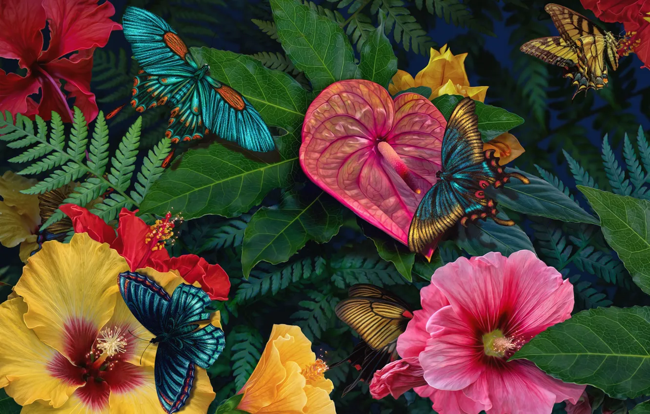 Photo wallpaper flowers, butterfly, butterfly, flowers