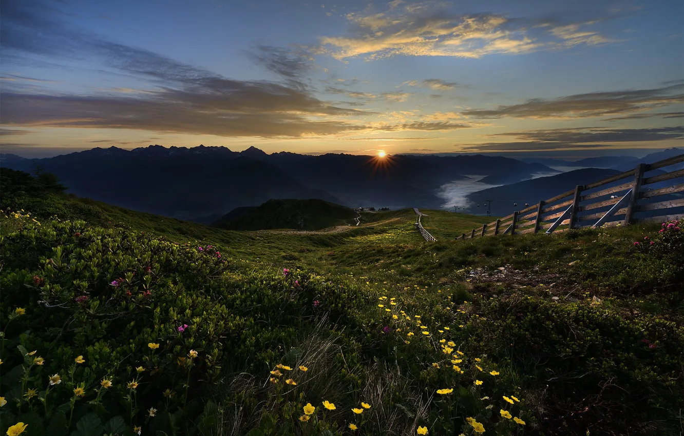 Photo wallpaper field, summer, the sky, grass, the sun, clouds, sunset, flowers
