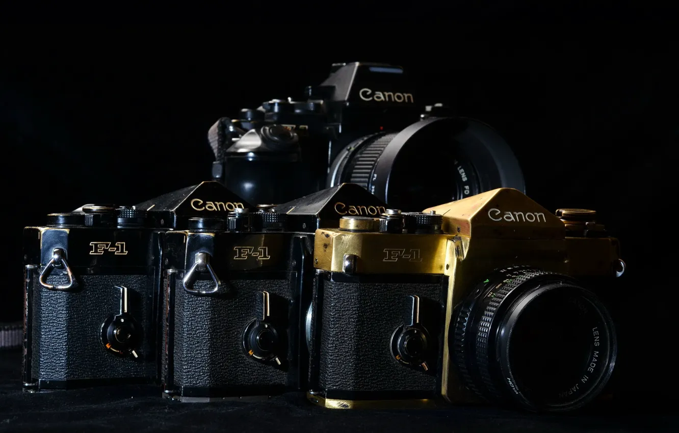 Photo wallpaper macro, background, camera