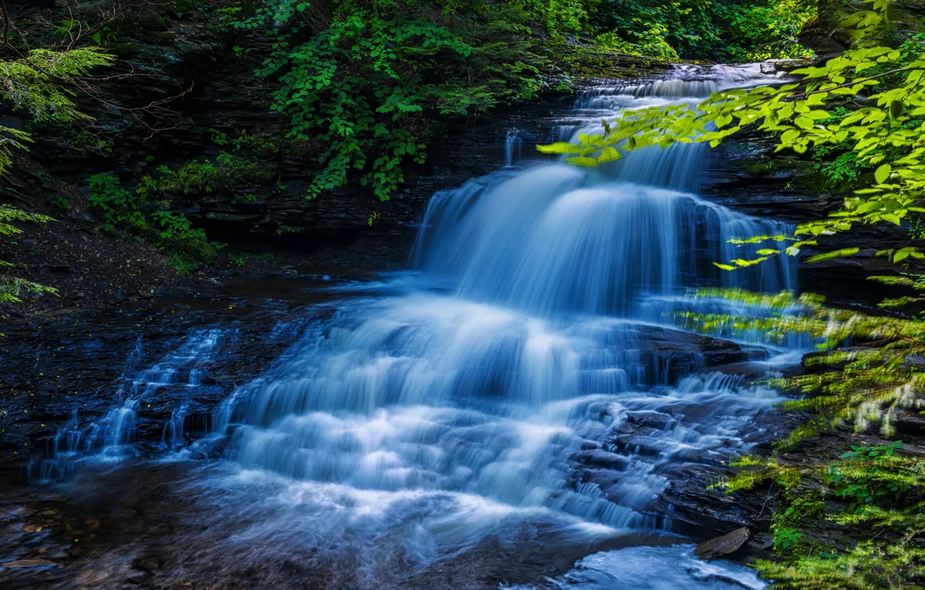 Photo wallpaper forest, waterfall, stream, cascade