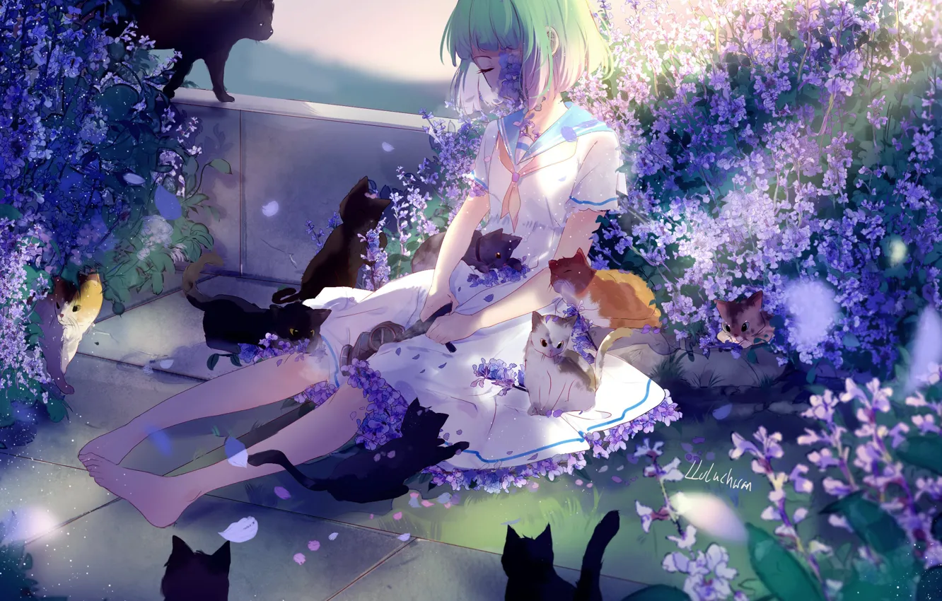 Photo wallpaper sadness, cats, girl, kittens, green hair, lilac flowers, barefoot, sailor