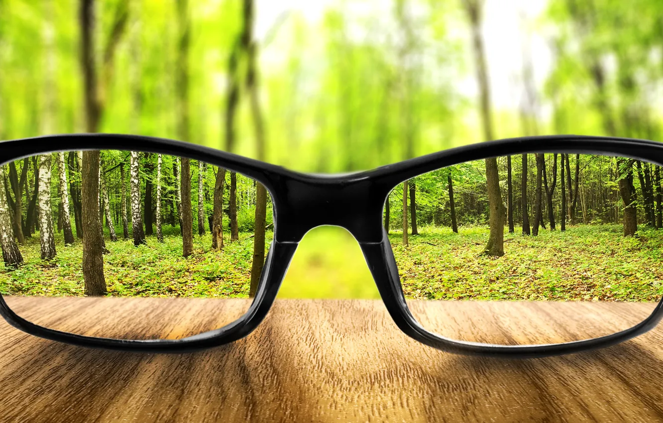 Photo wallpaper greens, forest, trees, glasses, sharpness