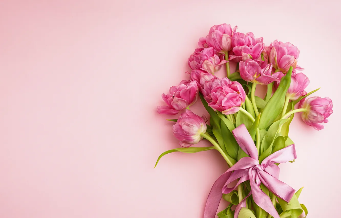 Photo wallpaper flowers, bouquet, tulips, pink, pink, flowers, beautiful, tulips