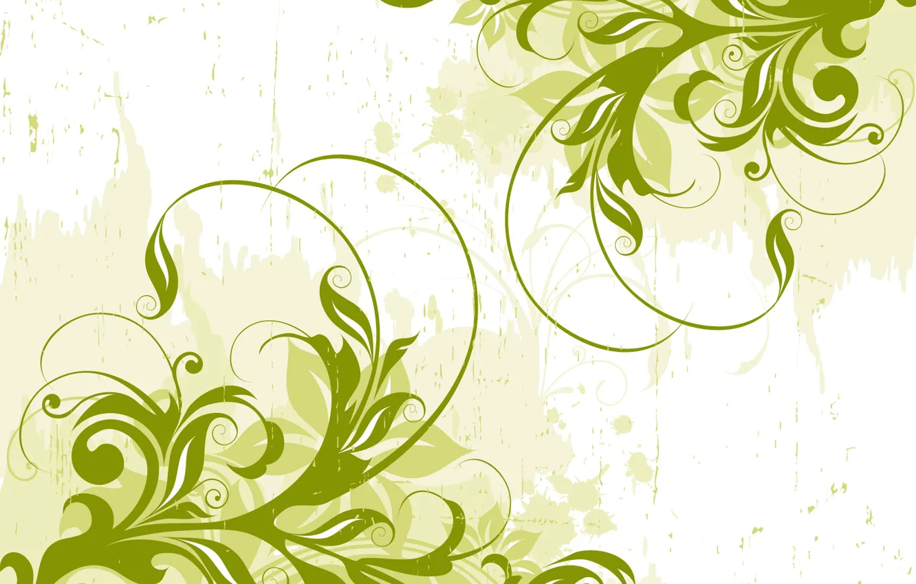 Photo wallpaper green, vector, abstract, design, background