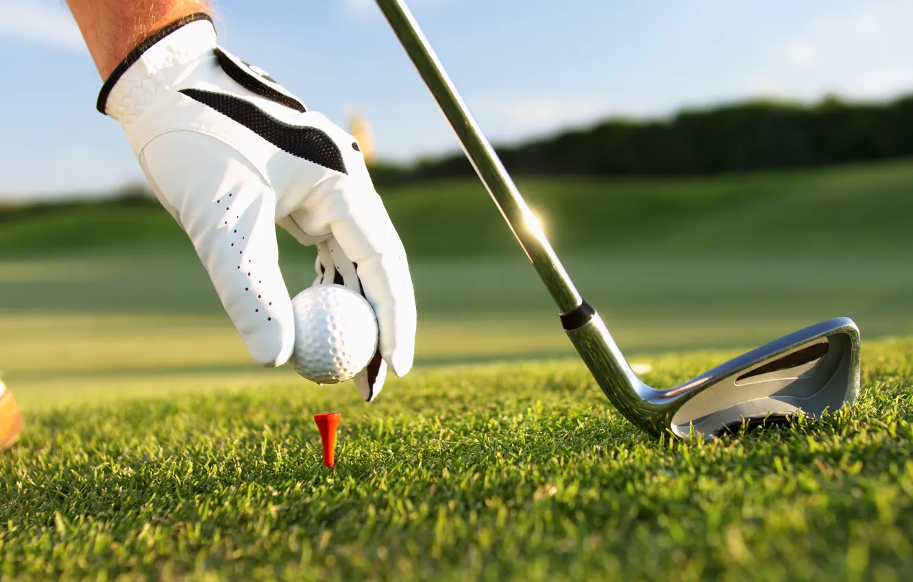 Photo wallpaper grass, golf, gloves