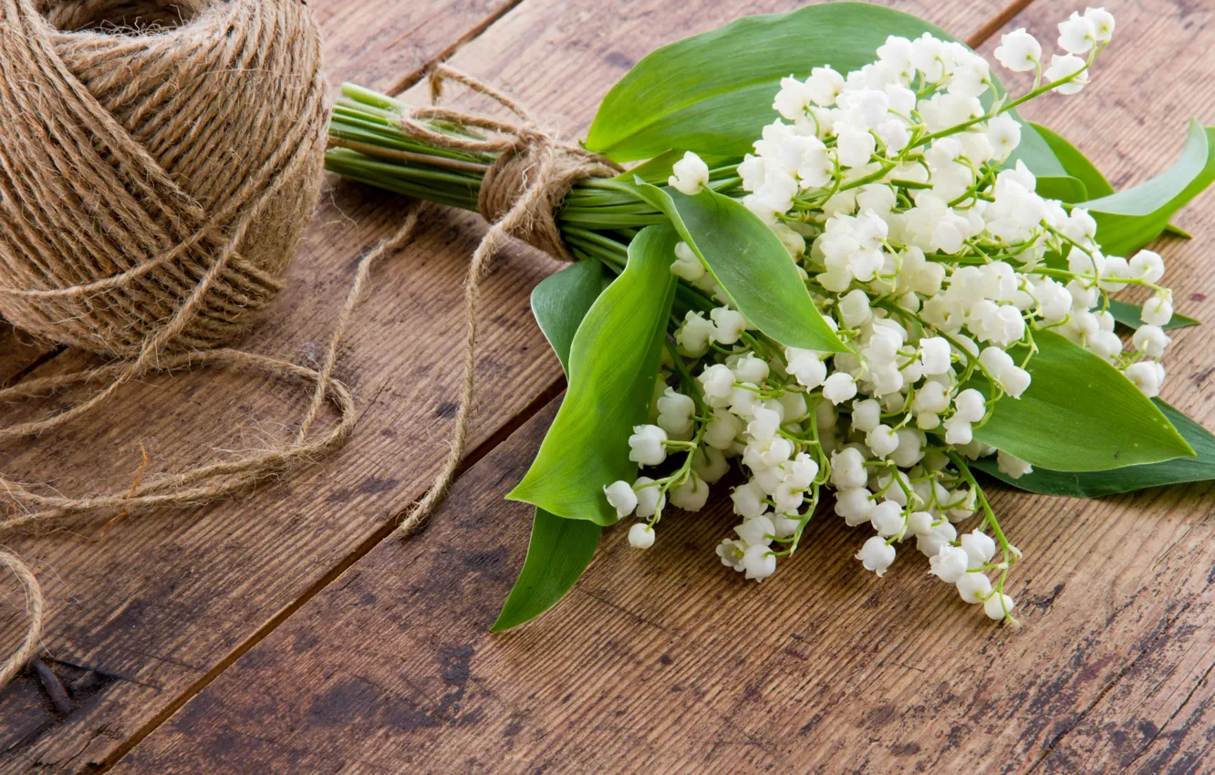 Photo wallpaper flowers, spring, white, thread, lilies of the valley, a bunch, a coil