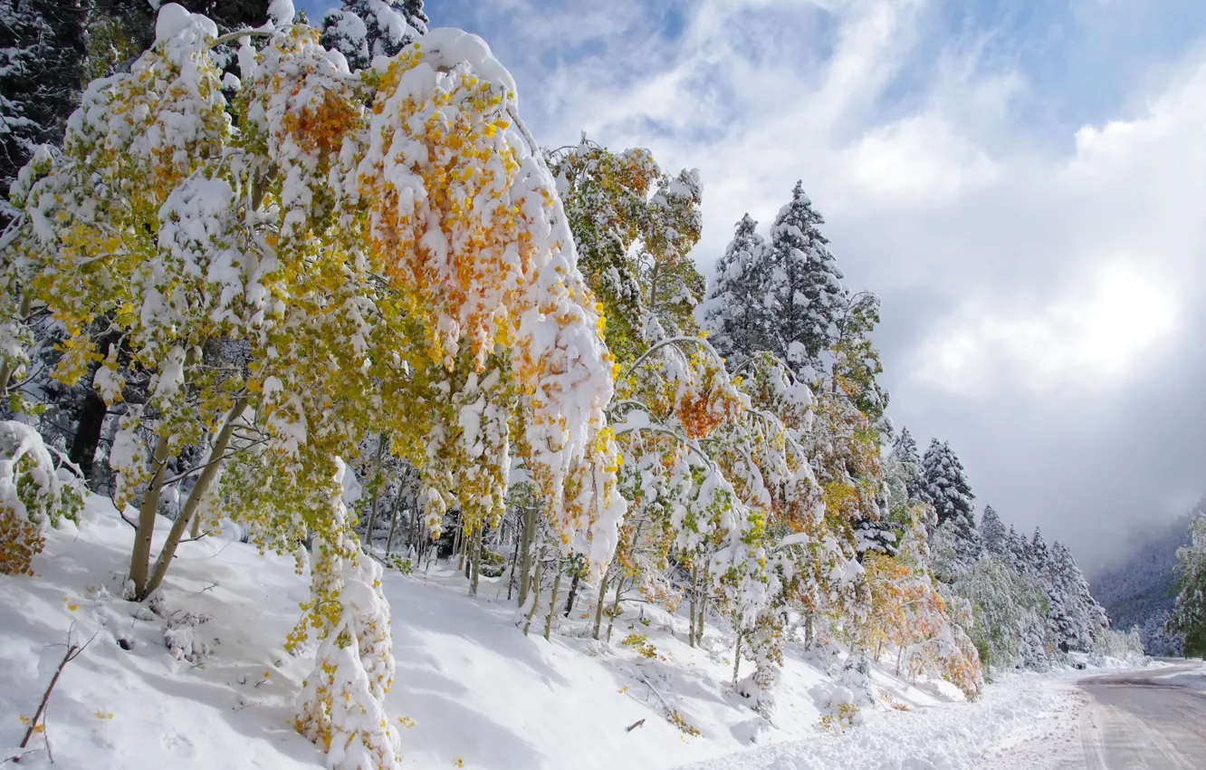 Photo wallpaper winter, road, autumn, the sky, leaves, clouds, snow, trees