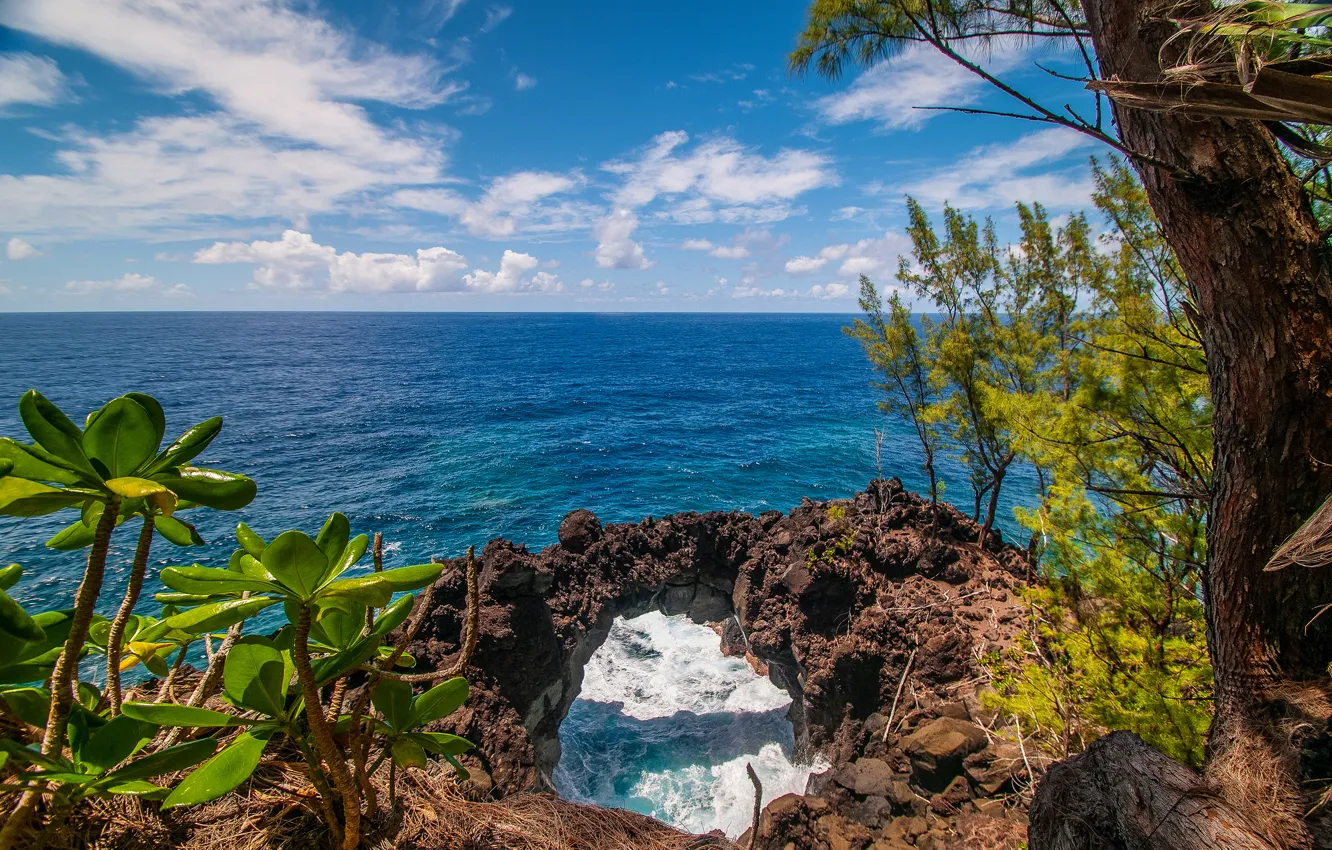 Photo wallpaper sea, the sky, clouds, trees, squirt, nature, rocks, plant