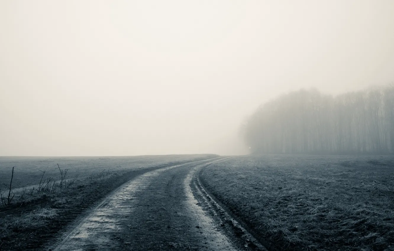 Photo wallpaper road, field, fog